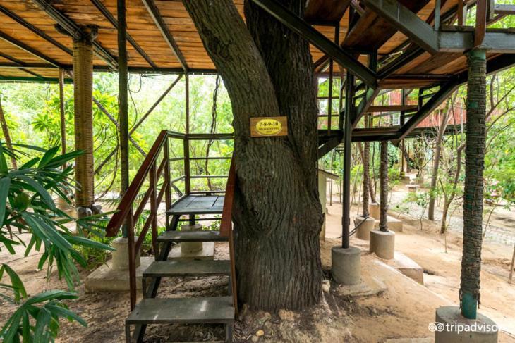 The Tree House Resort Jaipur Ngoại thất bức ảnh